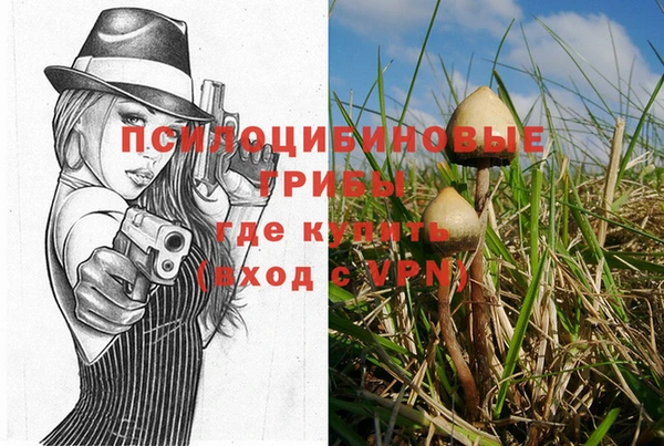 таблы Армянск