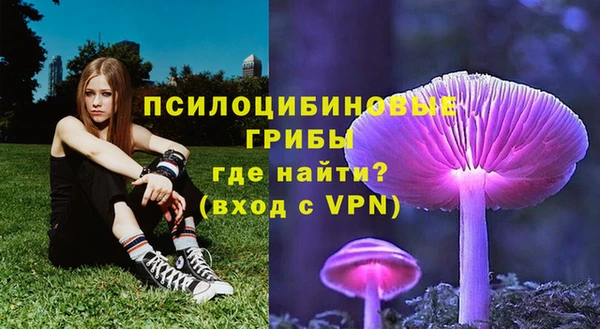 apvp Магас