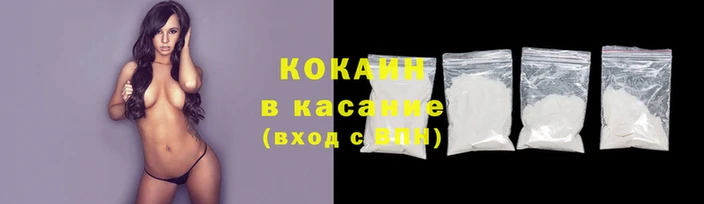 гашик Майский